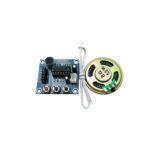Módulo Grabador de Sonido ISD1820